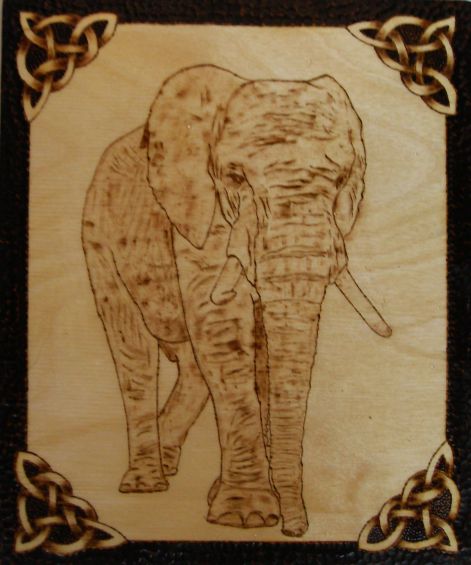 elefant03.jpg